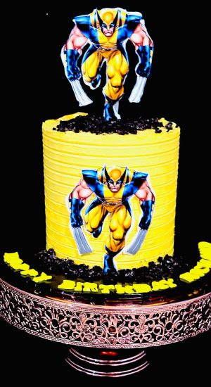 WhatsApp Image 2025-12-24 at 11.13.56_786bed10